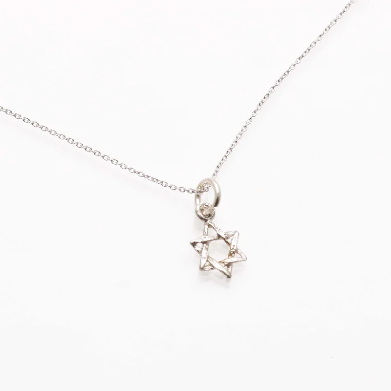 14k White gold Petite Star of David Necklace