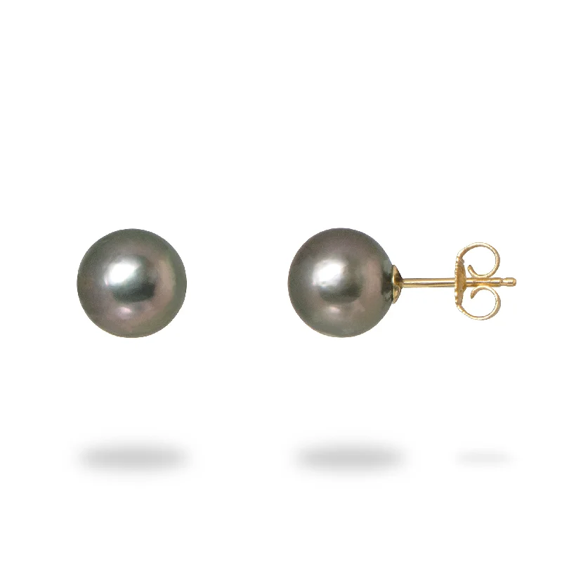 Tahitian Black Pearl Earrings in Gold - 8-9mm