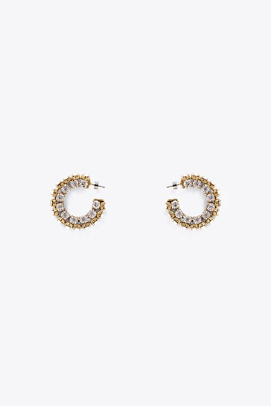 Small Crystal Hoop Earrings